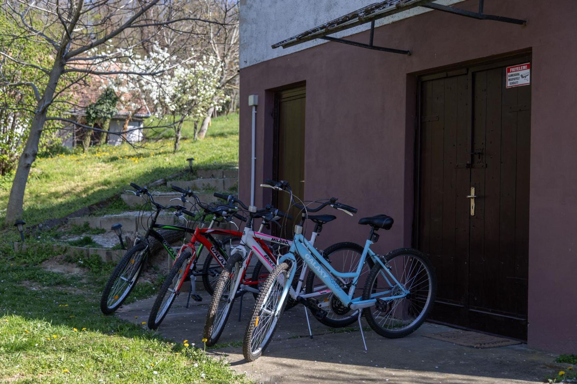 Balatoni Présházikó Villa Szolosgyorok Kültér fotó